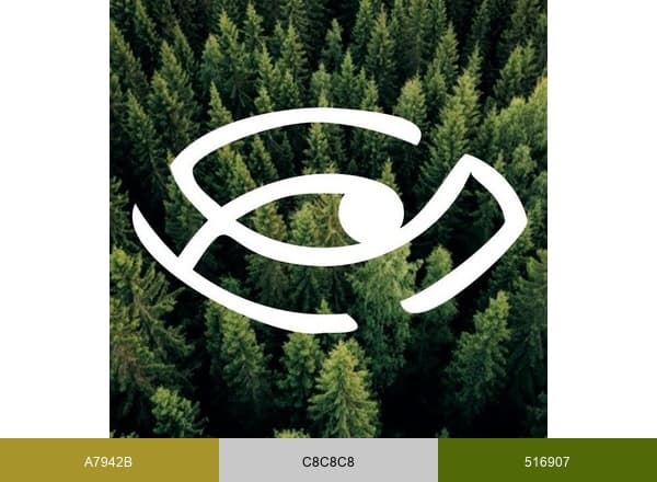Senso Naturale brand color palette