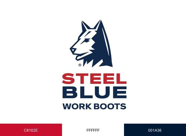Steel Blue brand color palette