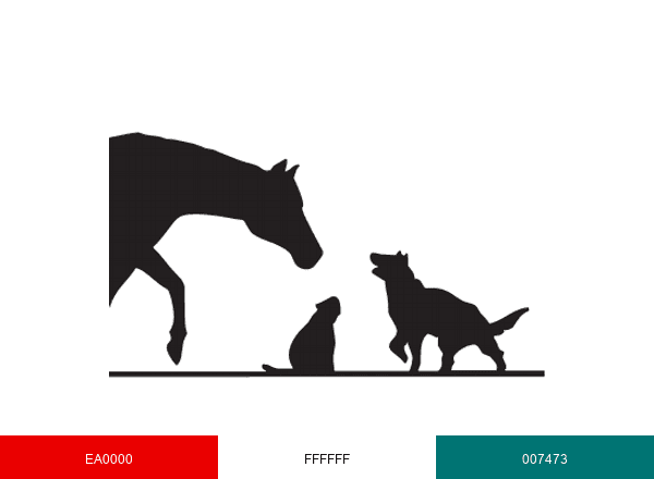 StJohns Veterinary H brand color palette