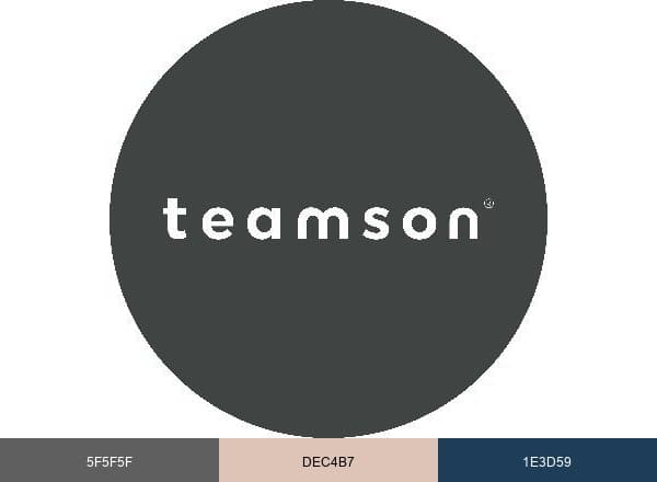 Teamson brand color palette