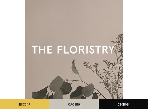 THE FLORISTRY brand color palette