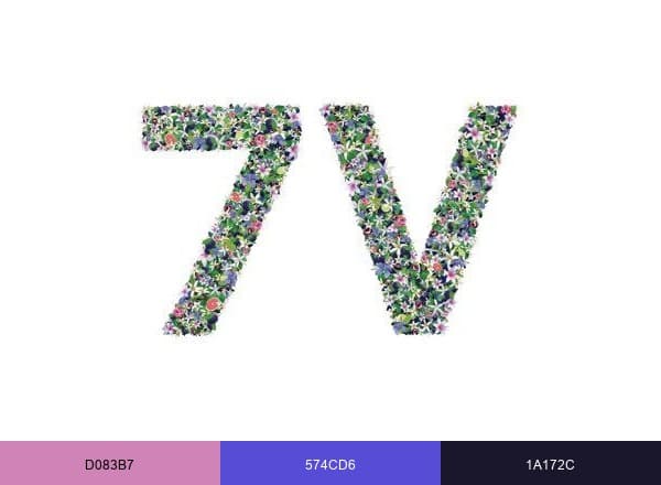 The 7 Virtues brand color palette