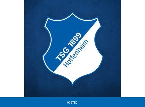 TSG Hoffenheim brand color palette