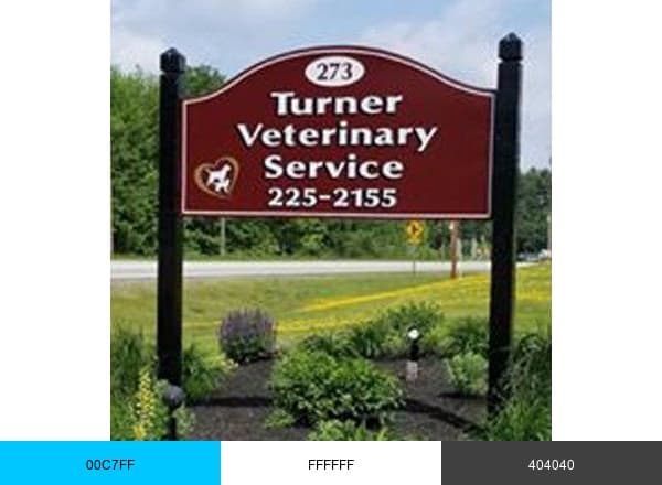 Turner Maine Vet brand color palette