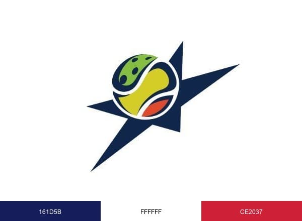 RSPA brand color palette