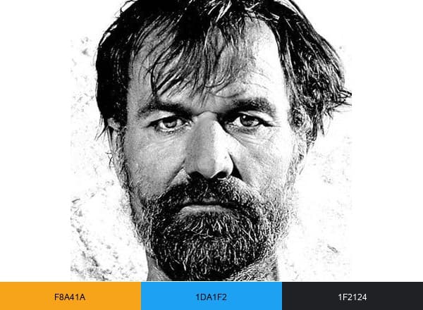 Wim Hof brand color palette