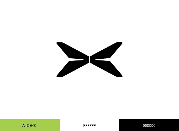Xpeng brand color palette