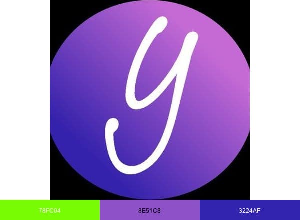 Youmanage HR brand color palette