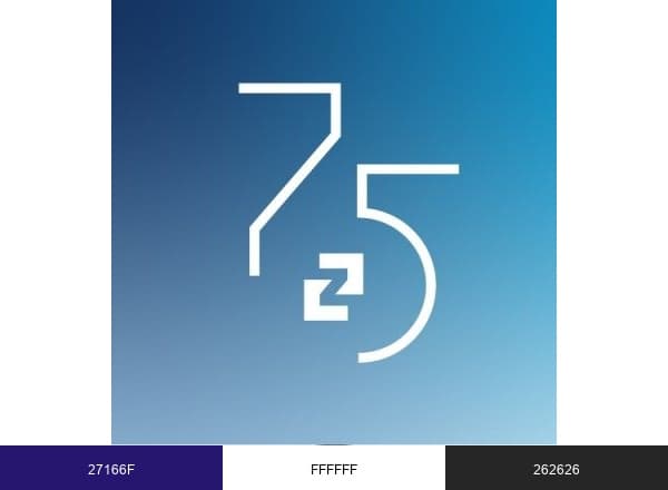 Zeppelin Group brand color palette