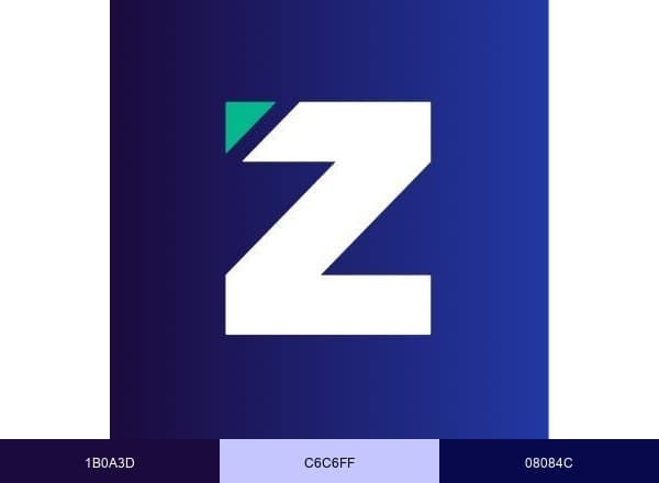 Zero Networks brand color palette